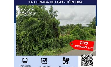 SE VENDEN DOS LOTES EN CIENAGA DE ORO EN CORDOBA