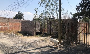 Terreno Venta Pueblo Ocopulco Chiautla Estado de México