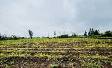 Terreno en venta en Parral, Linares