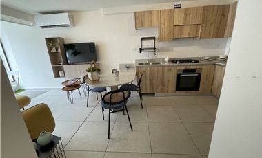 SEA CONFIABLE VENDE APARTAMENTO EN PH ARMONIA CON 2 RECAMARAS