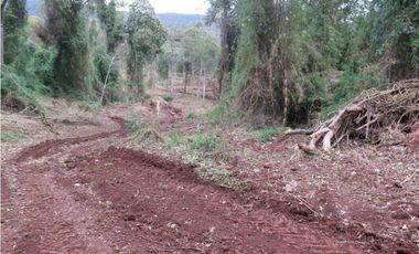 Ruta 18- B. de Irigoyen-Mnes