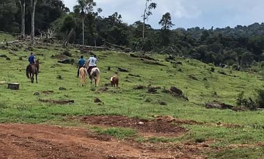 Ruta 18- B. de Irigoyen-Mnes