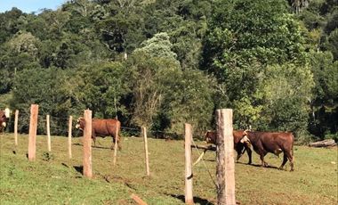 Ruta 18- B. de Irigoyen-Mnes