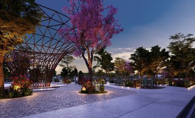 Lotes Residenciales en Playa de Progreso Yuc