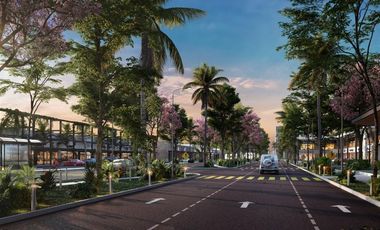 Lotes Residenciales en Playa de Progreso Yuc