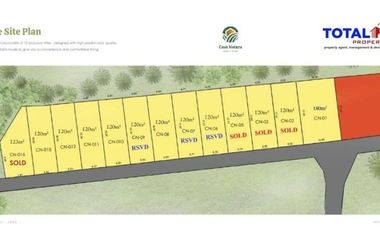 Villa Ekslusive Minimalis di Ubud Gianyar View Sawah