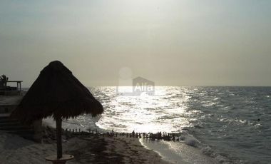 Departamento en Renta Frente al Mar de Chicxulub Puerto en Yucatán