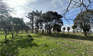 Campo en venta. 26 Has. mixto en Loma Verde