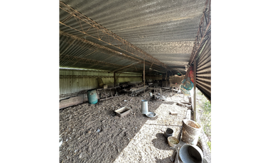 Campo en venta. 26 Has. mixto en Loma Verde