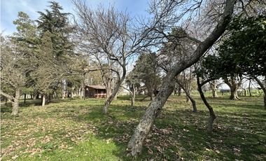 Campo en venta. 26 Has. mixto en Loma Verde