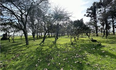 Campo en venta. 26 Has. mixto en Loma Verde