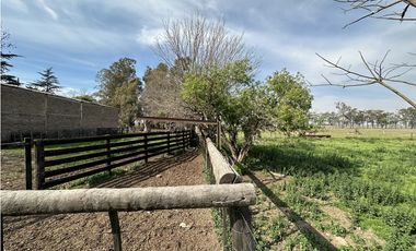Campo en venta. 26 Has. mixto en Loma Verde