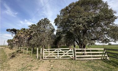 Campo en venta. 26 Has. mixto en Loma Verde