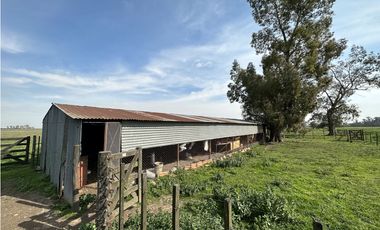 Campo en venta. 26 Has. mixto en Loma Verde