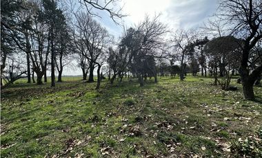 Campo en venta. 26 Has. mixto en Loma Verde