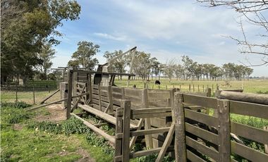 Campo en venta. 26 Has. mixto en Loma Verde