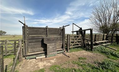 Campo en venta. 26 Has. mixto en Loma Verde