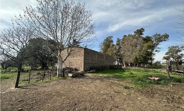 Campo en venta. 26 Has. mixto en Loma Verde