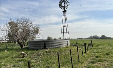 Campo en venta. 26 Has. mixto en Loma Verde