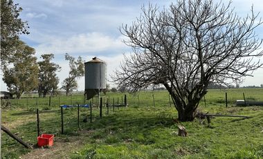 Campo en venta. 26 Has. mixto en Loma Verde
