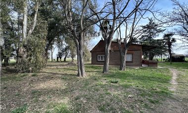 Campo en venta. 26 Has. mixto en Loma Verde