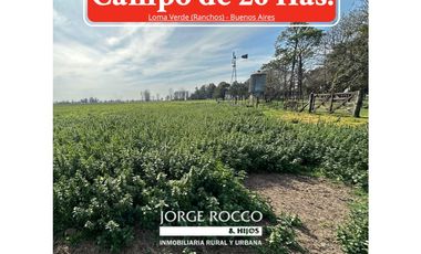 Campo en venta. 26 Has. mixto en Loma Verde