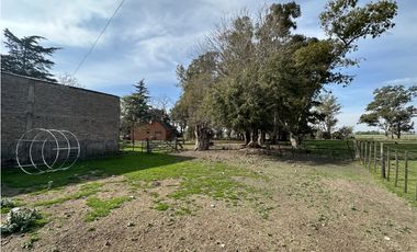 Campo en venta. 26 Has. mixto en Loma Verde