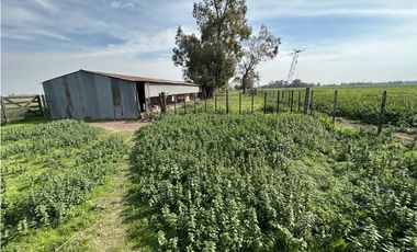 Campo en venta. 26 Has. mixto en Loma Verde