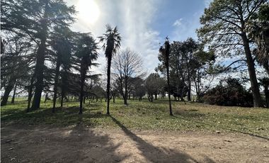 Campo en venta. 26 Has. mixto en Loma Verde