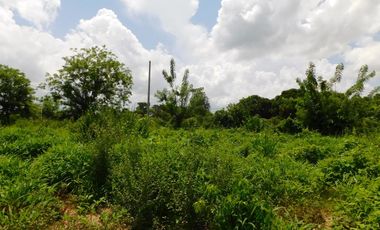 bodega en venta en malambo. Cod V89806