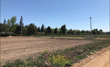 Parcela en Venta en Camino el Oliveto - Camino Antiguo a Melipilla