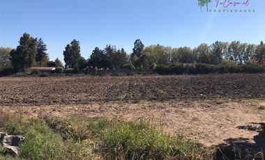 Parcela en Venta en Camino el Oliveto - Camino Antiguo a Melipilla