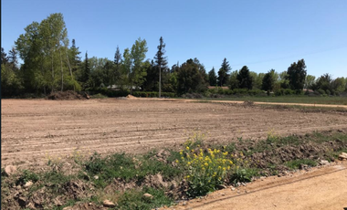 Parcela en Venta en Camino el Oliveto - Camino Antiguo a Melipilla