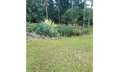 VENTA DE LOTE EN VENECIA SUROESTE DE ANTIOQUIA