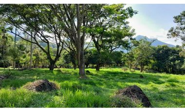 VENTA DE LOTE EN VENECIA SUROESTE DE ANTIOQUIA