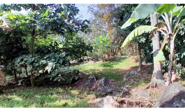 VENTA DE LOTE EN VENECIA SUROESTE DE ANTIOQUIA