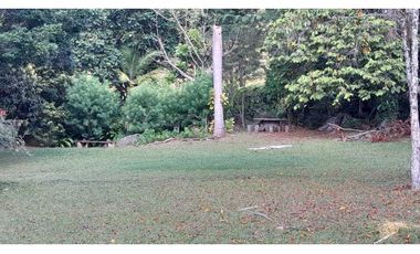 VENTA DE LOTE EN VENECIA SUROESTE DE ANTIOQUIA