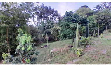 VENTA DE LOTE EN VENECIA SUROESTE DE ANTIOQUIA