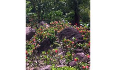 VENTA DE LOTE EN VENECIA SUROESTE DE ANTIOQUIA