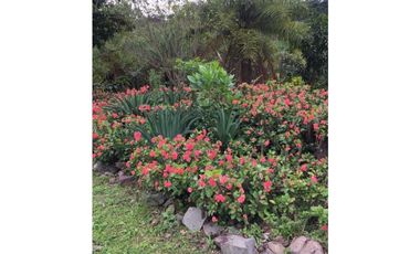 VENTA DE LOTE EN VENECIA SUROESTE DE ANTIOQUIA