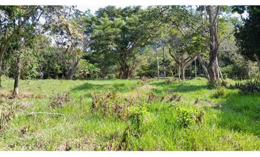 VENTA DE LOTE EN VENECIA SUROESTE DE ANTIOQUIA