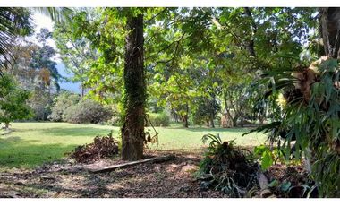 VENTA DE LOTE EN VENECIA SUROESTE DE ANTIOQUIA