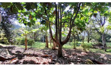 VENTA DE LOTE EN VENECIA SUROESTE DE ANTIOQUIA