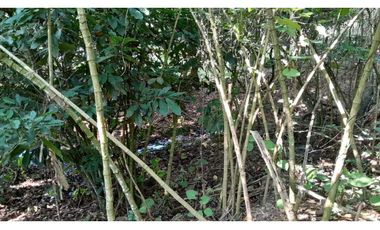 VENTA DE LOTE EN VENECIA SUROESTE DE ANTIOQUIA