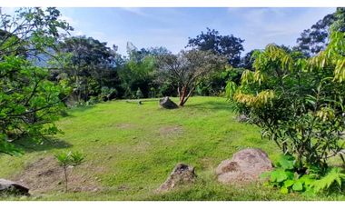 VENTA DE LOTE EN VENECIA SUROESTE DE ANTIOQUIA