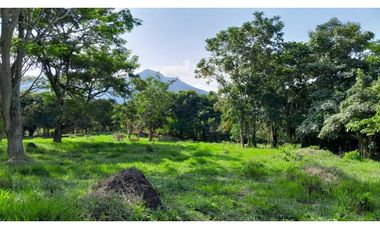 VENTA DE LOTE EN VENECIA SUROESTE DE ANTIOQUIA