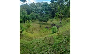 VENTA DE LOTE EN VENECIA SUROESTE DE ANTIOQUIA