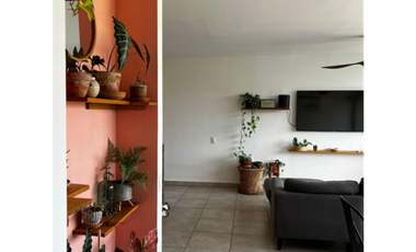 VENTA DE APARTAMENTOS EN BRISAS DEL GOLF| PH HACIENDA GOLF