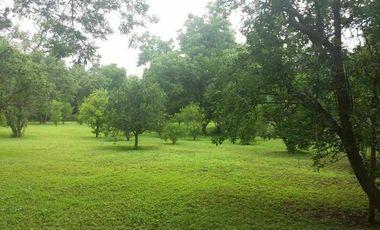 QUINTA EN VENTA SANTIAGO N.L.