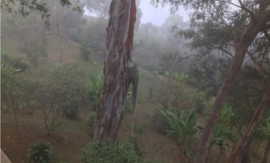 CASA DE CAMPO EN DAPA  ID 355